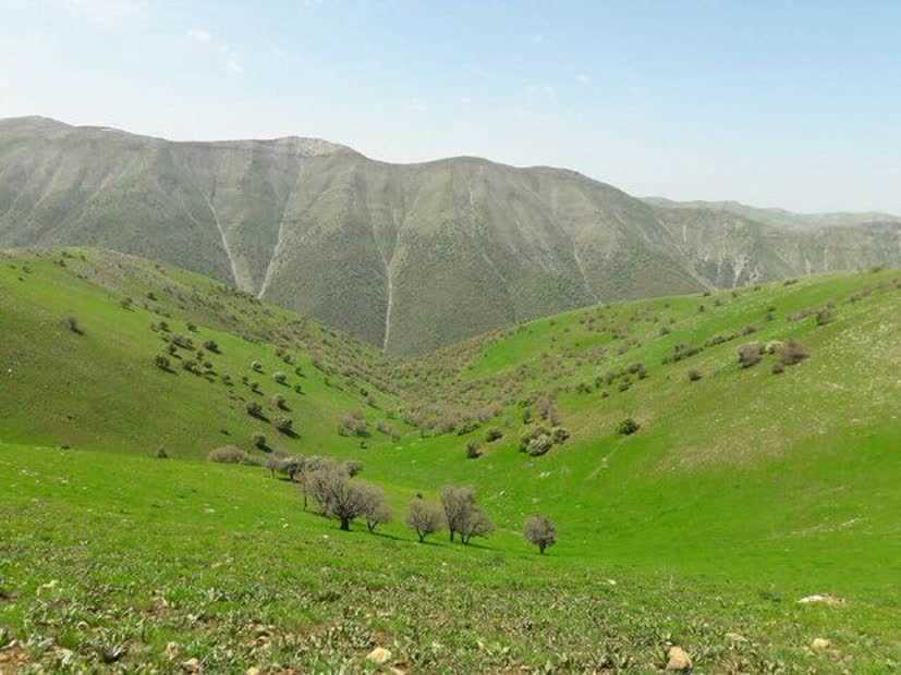 مراتع، ۴۰ درصد از شدت سیلاب می‌کاهد